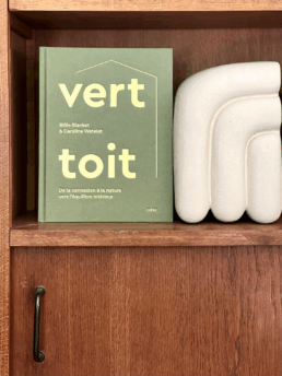 livre vert toi Billie blanket